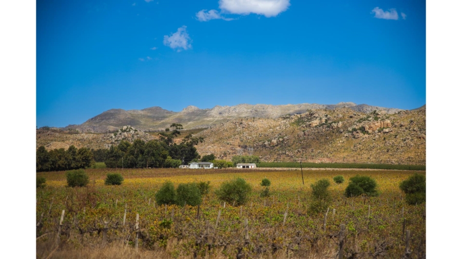 Commercial Property for Sale in Wolseley Western Cape